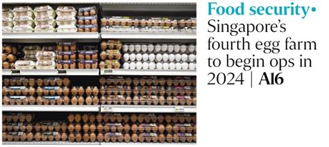 egg singapore marketing agency|The Egg .